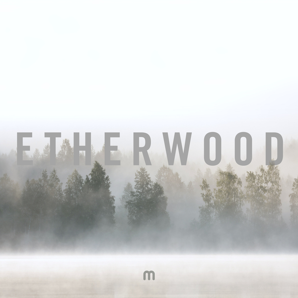 Etherwood - In Stillness [Med School][MEDIC77](2018)