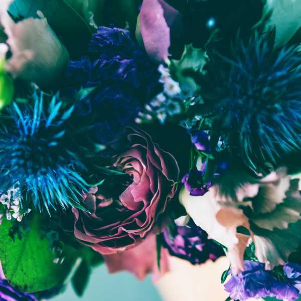 Phaeleh - Soma [UNDRTW009](2021)