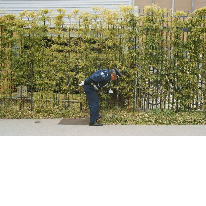 Gold Panda - Good Luck And Do Your Best [SLANG50099](2016)