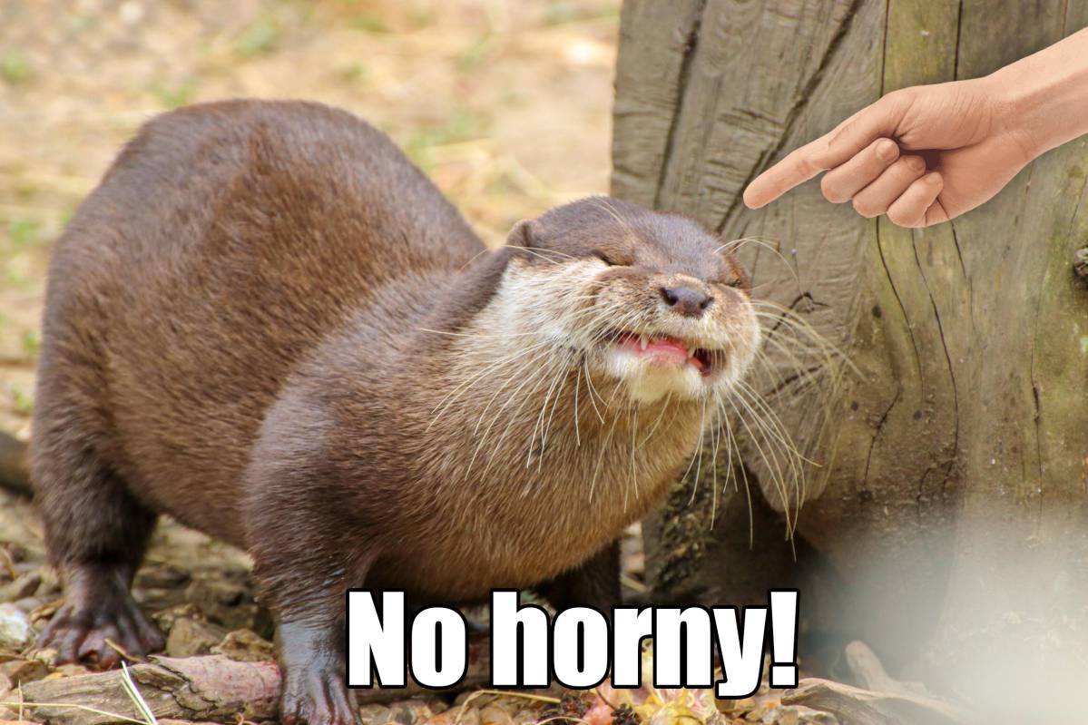 otter memes 013