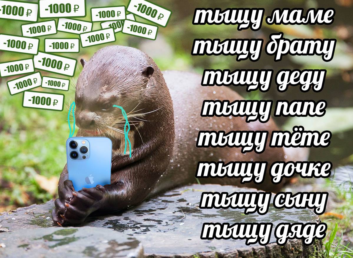 otter memes 016