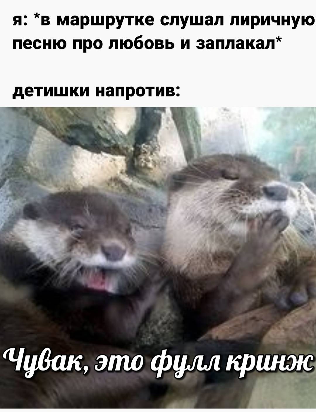 otter memes 086