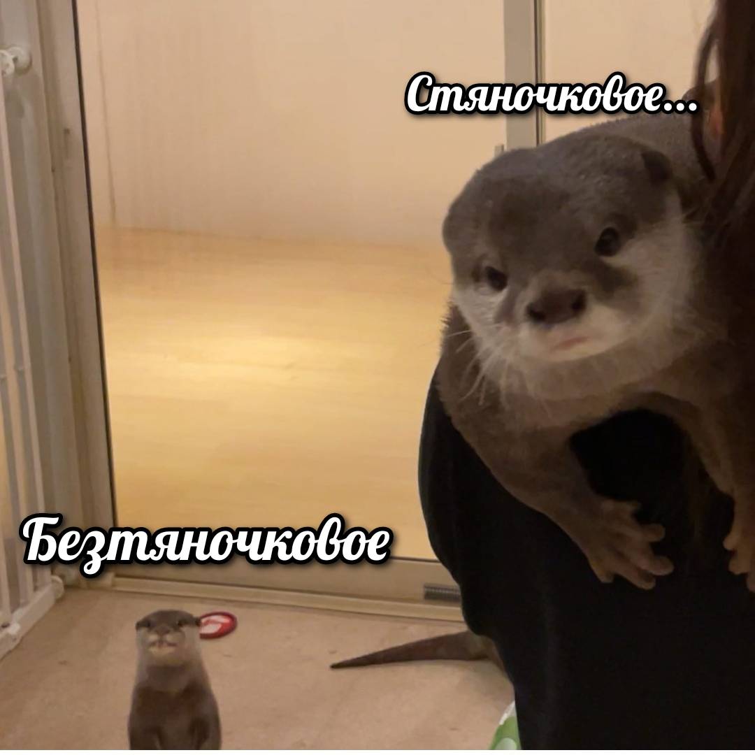 otter memes 120