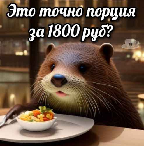 План Кинаки - мемы про выдр и других животных