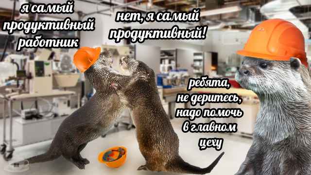 План Кинаки - мемы про выдр и других животных