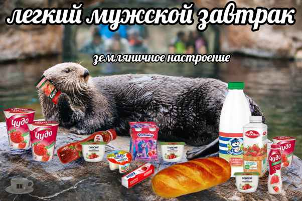 План Кинаки - мемы про выдр и других животных