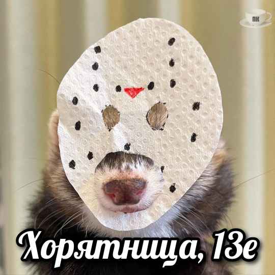 План Кинаки - мемы про выдр и других животных