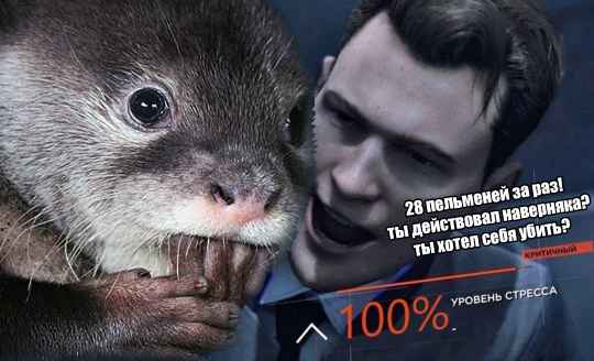 План Кинаки - мемы про выдр и других животных