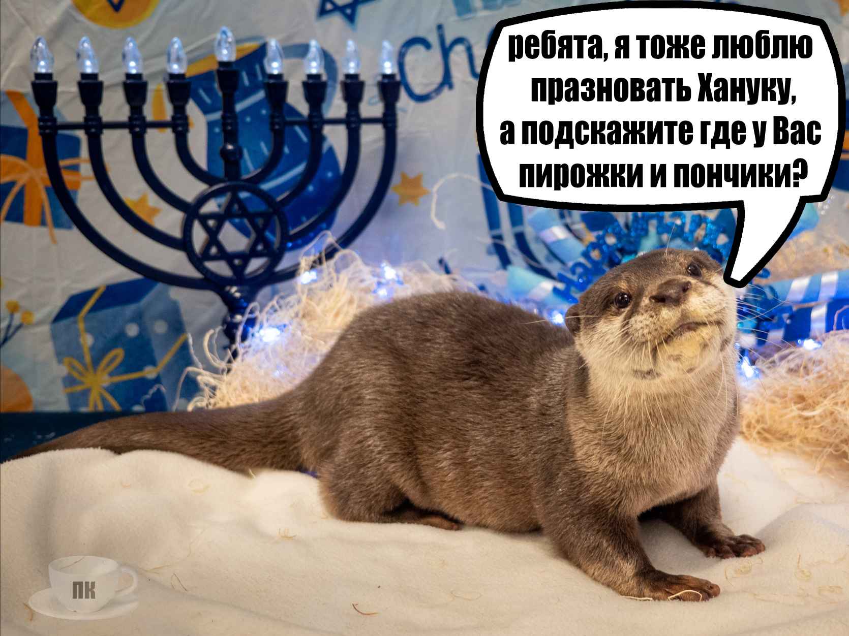 План Кинаки - мемы про выдр и других животных