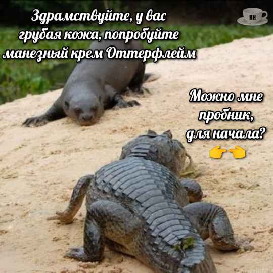 План Кинаки - мемы про выдр и других животных