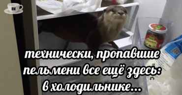 План Кинаки - мемы про выдр и других животных