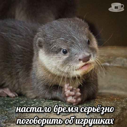 План Кинаки - мемы про выдр и других животных