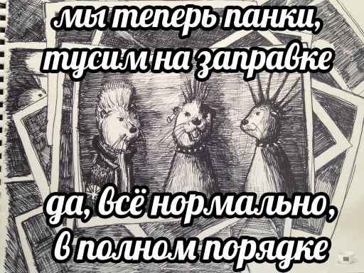 План Кинаки - мемы про выдр и других животных