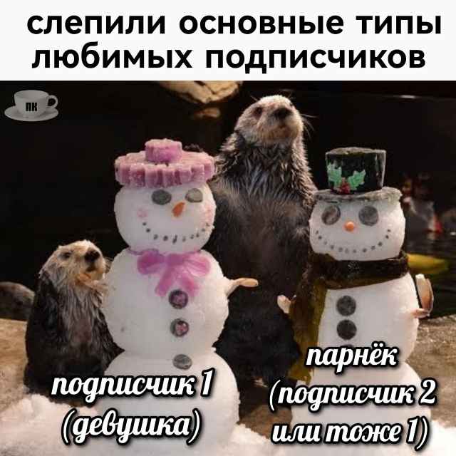 План Кинаки - мемы про выдр и других животных