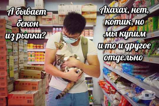 План Кинаки - мемы про выдр и других животных