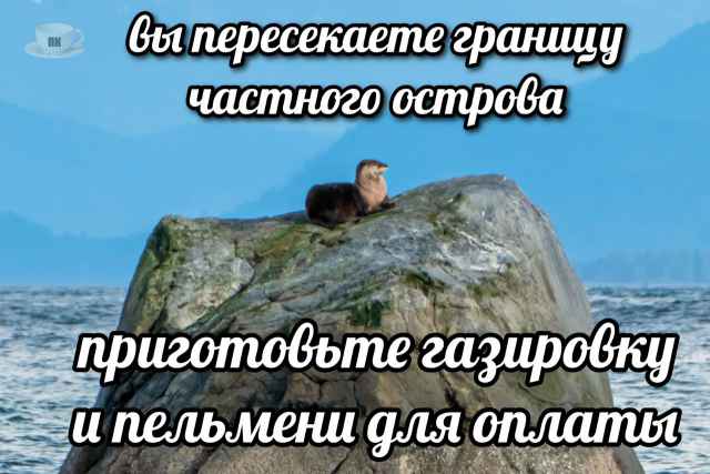 План Кинаки - мемы про выдр и других животных