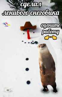 План Кинаки - мемы про выдр и других животных