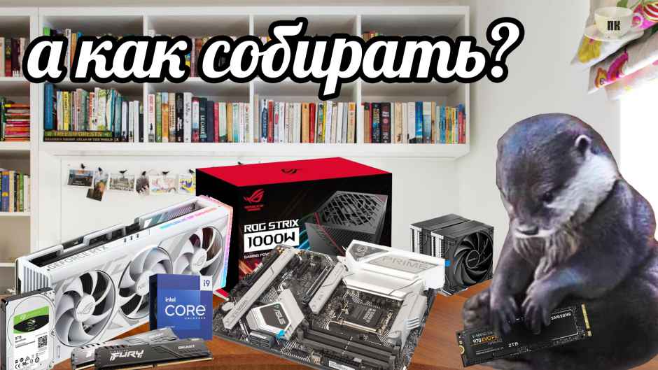 План Кинаки - мемы про выдр и других животных