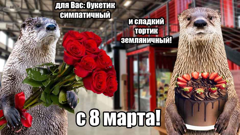 План Кинаки - мемы про выдр и других животных