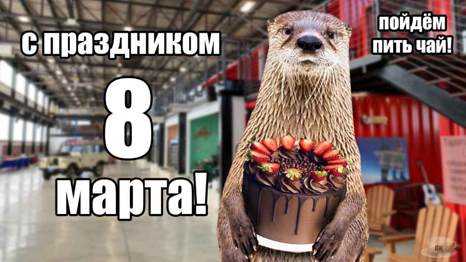 План Кинаки - мемы про выдр и других животных