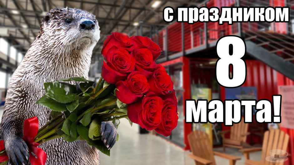 План Кинаки - мемы про выдр и других животных