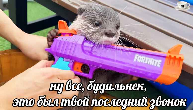 План Кинаки - мемы про выдр и других животных