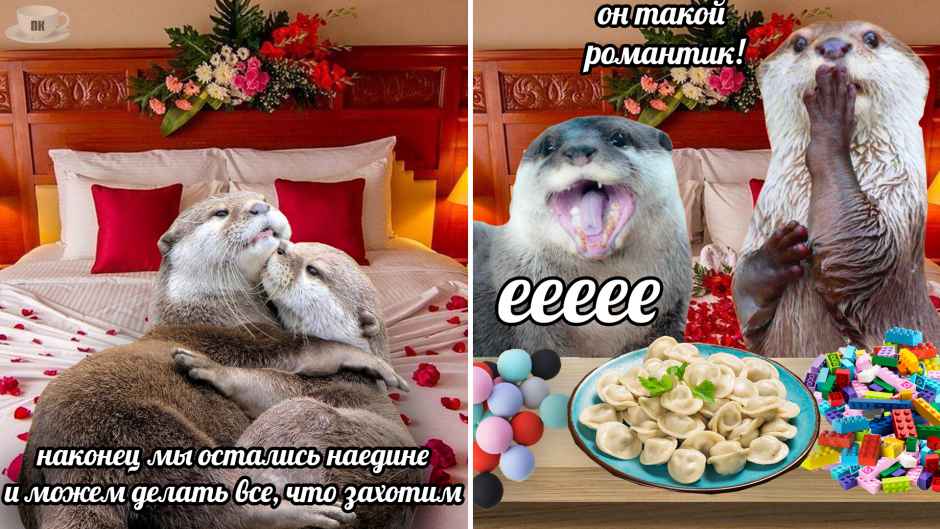 План Кинаки - мемы про выдр и других животных