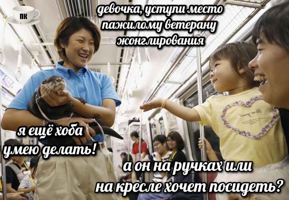 План Кинаки - мемы про выдр и других животных