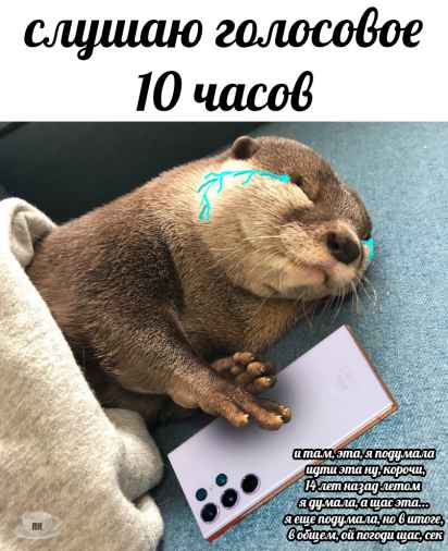 План Кинаки - мемы про выдр и других животных