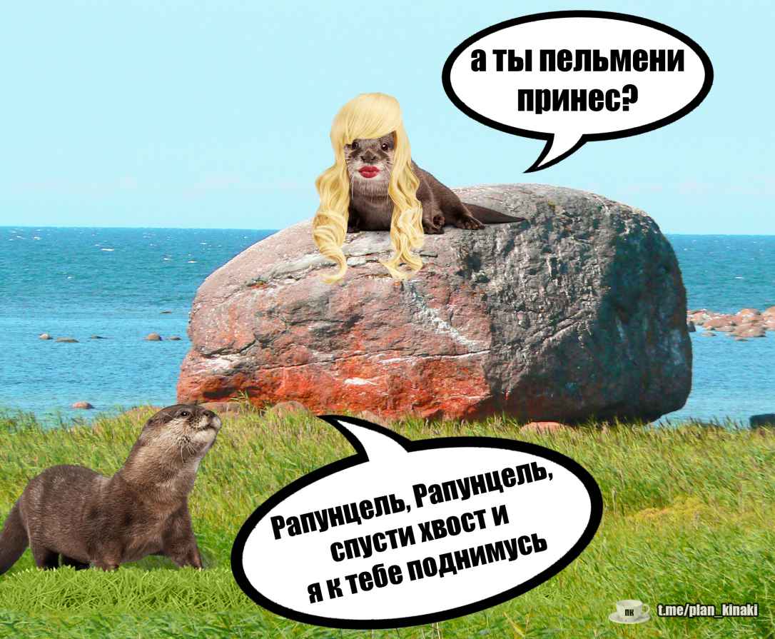 План Кинаки - мемы про выдр и других животных
