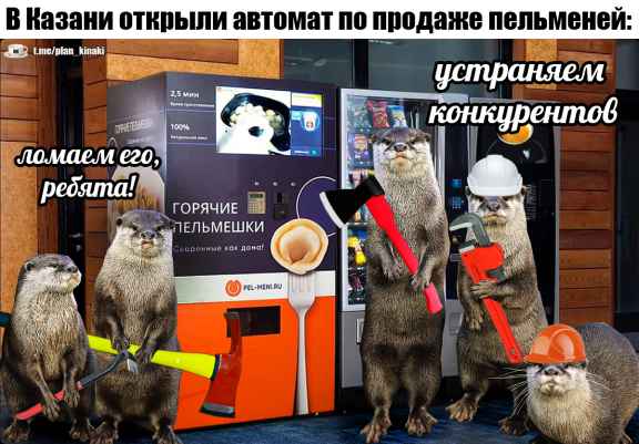 План Кинаки - мемы про выдр и других животных