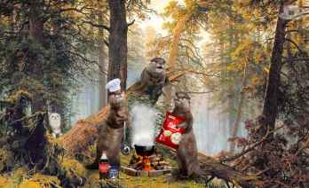 План Кинаки - мемы про выдр и других животных