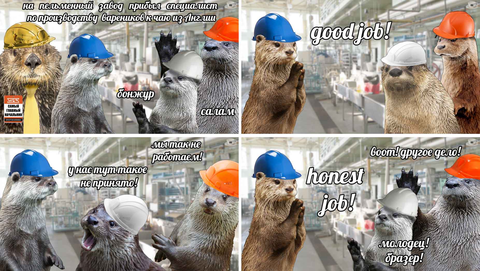 План Кинаки - мемы про выдр и других животных