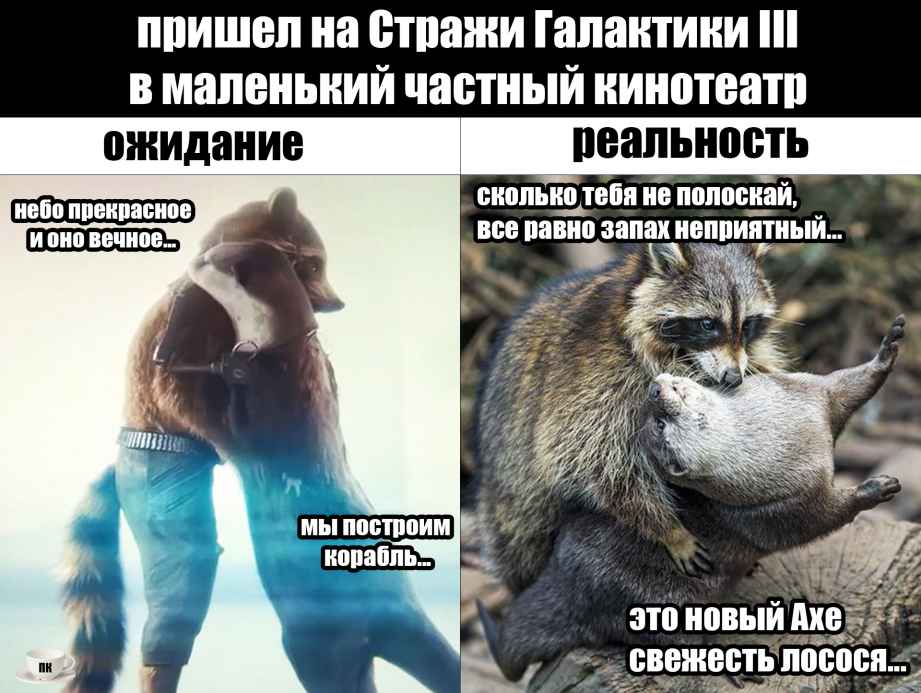 План Кинаки - мемы про выдр и других животных