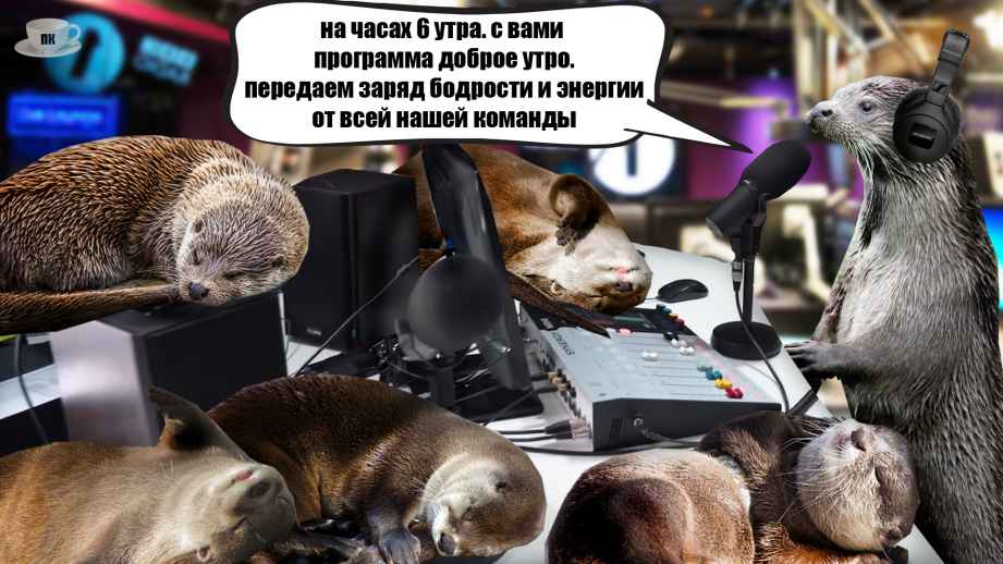 План Кинаки - мемы про выдр и других животных