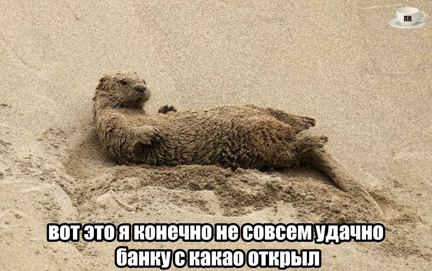 План Кинаки - мемы про выдр и других животных