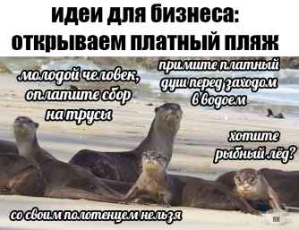 План Кинаки - мемы про выдр и других животных