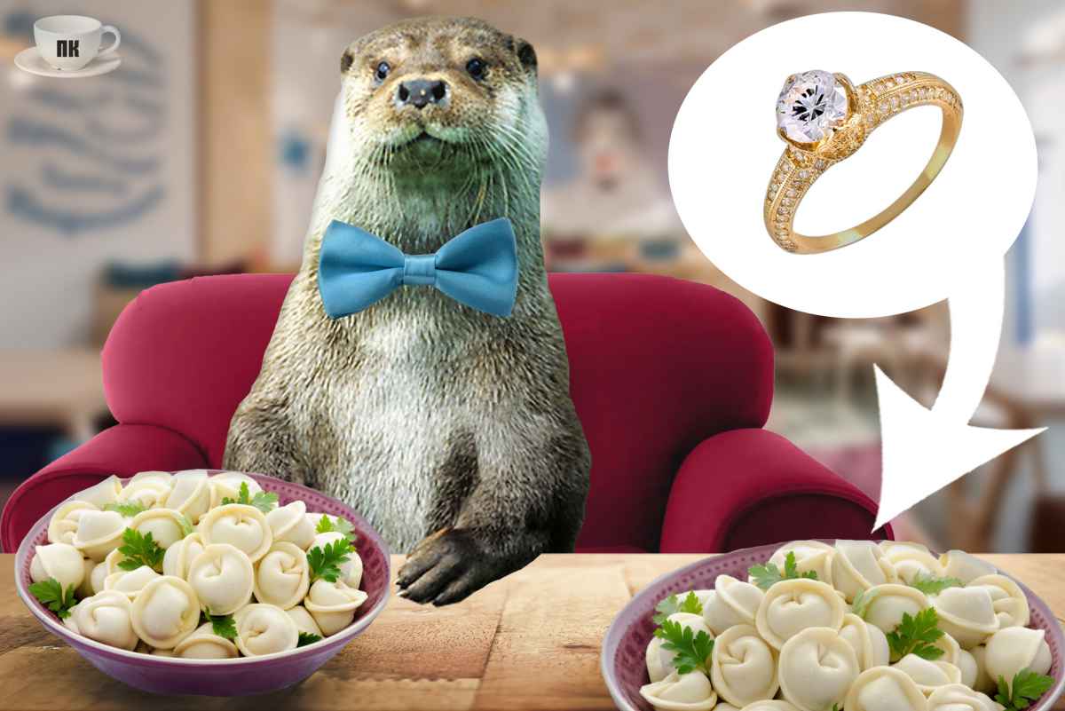 План Кинаки - мемы про выдр и других животных