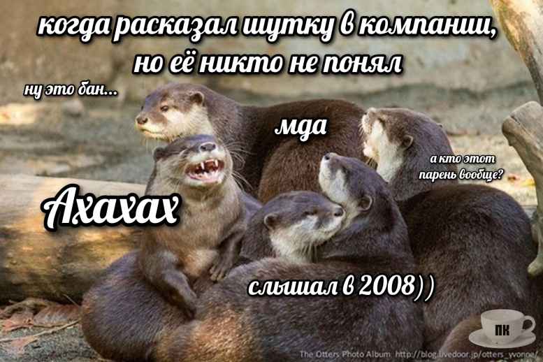 План Кинаки - мемы про выдр и других животных