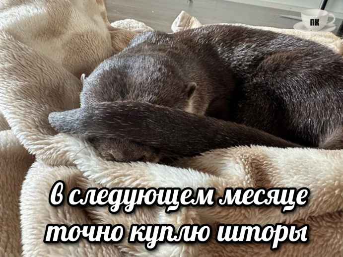 План Кинаки - мемы про выдр и других животных