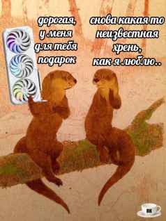 План Кинаки - мемы про выдр и других животных