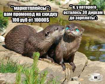 План Кинаки - мемы про выдр и других животных
