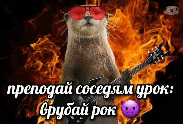 План Кинаки - мемы про выдр и других животных