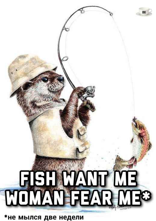 План Кинаки - мемы про выдр и других животных