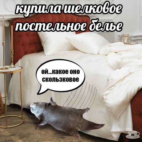 План Кинаки - мемы про выдр и других животных