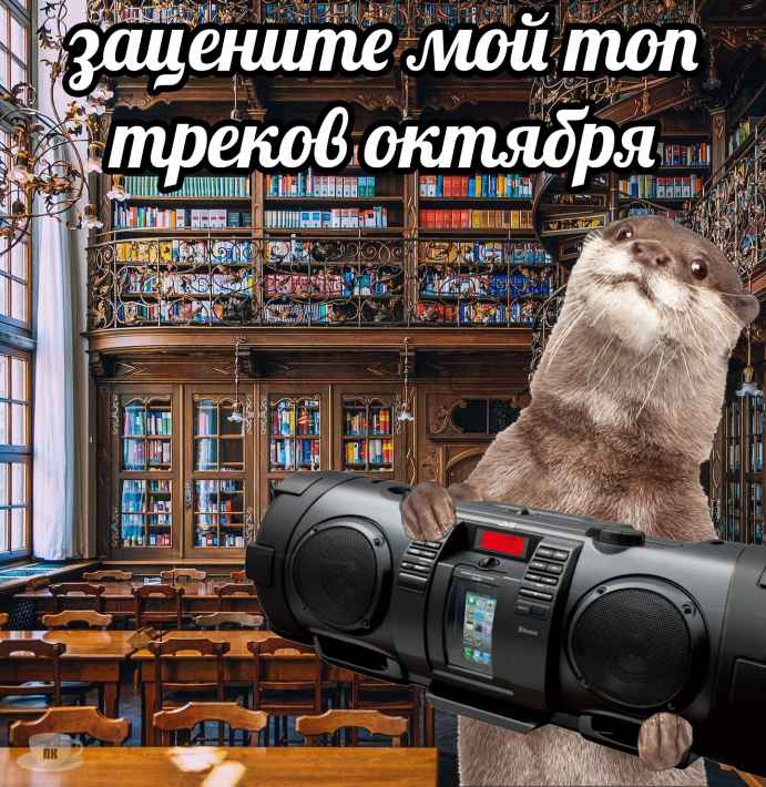 План Кинаки - мемы про выдр и других животных