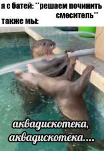 План Кинаки - мемы про выдр и других животных