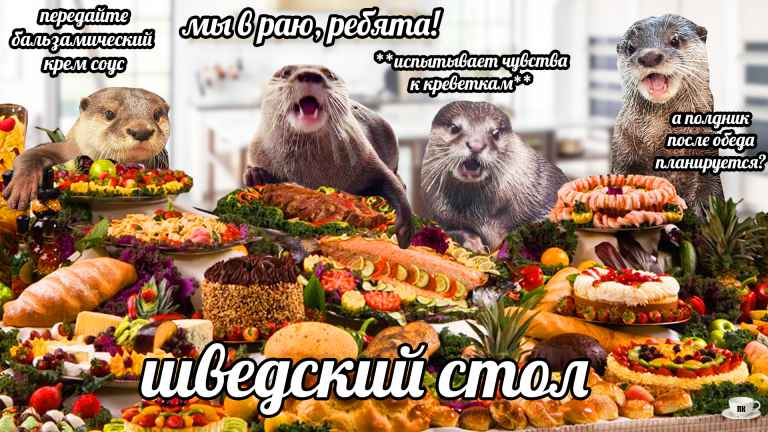 План Кинаки - мемы про выдр и других животных