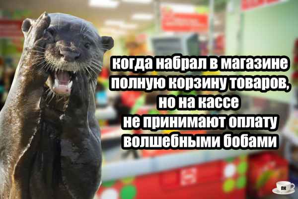 План Кинаки - мемы про выдр и других животных