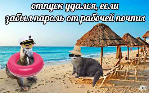 План Кинаки - мемы про выдр и других животных